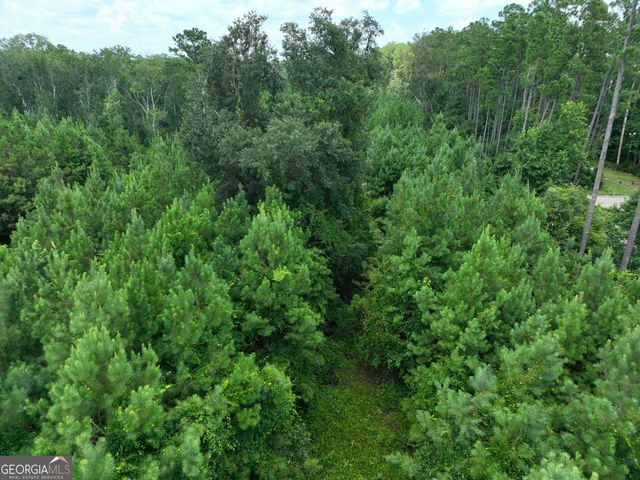 0 Chaney Road, White Oak, GA 31568