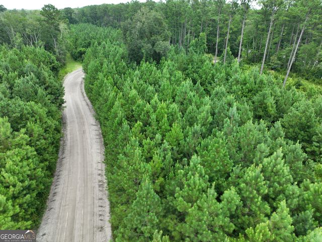 0 Chaney Road, White Oak, GA 31568