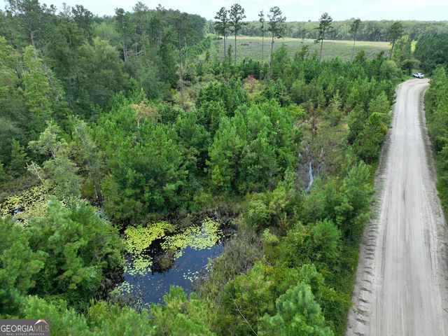 0 Chaney Road, White Oak, GA 31568