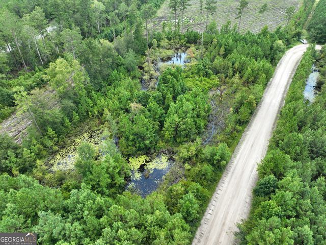 0 Chaney Road, White Oak, GA 31568