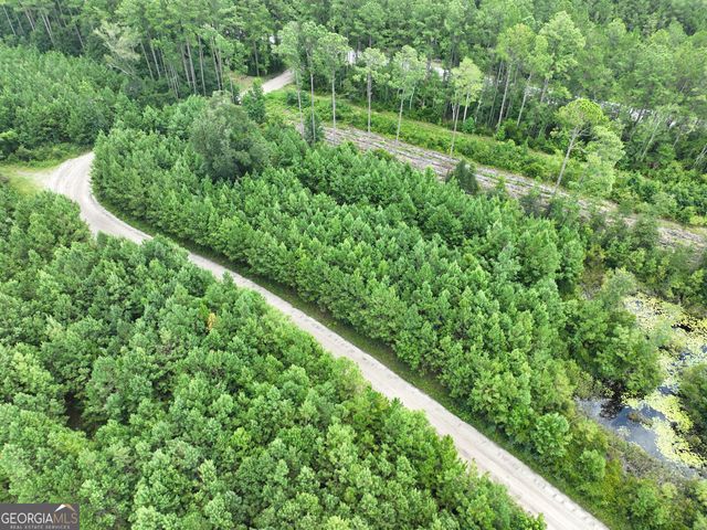 0 Chaney Road, White Oak, GA 31568