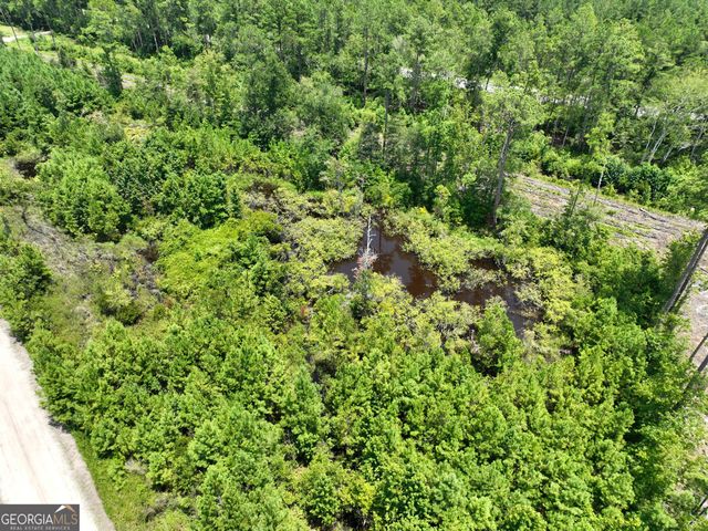 0 Chaney Road, White Oak, GA 31568