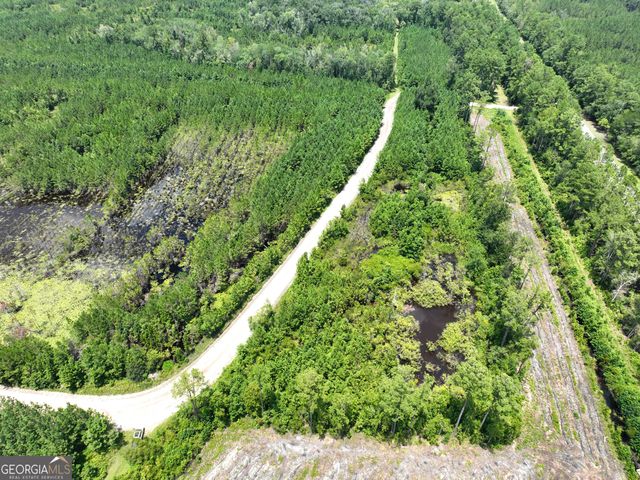 0 Chaney Road, White Oak, GA 31568