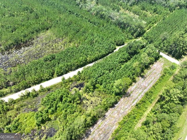 0 Chaney Road, White Oak, GA 31568