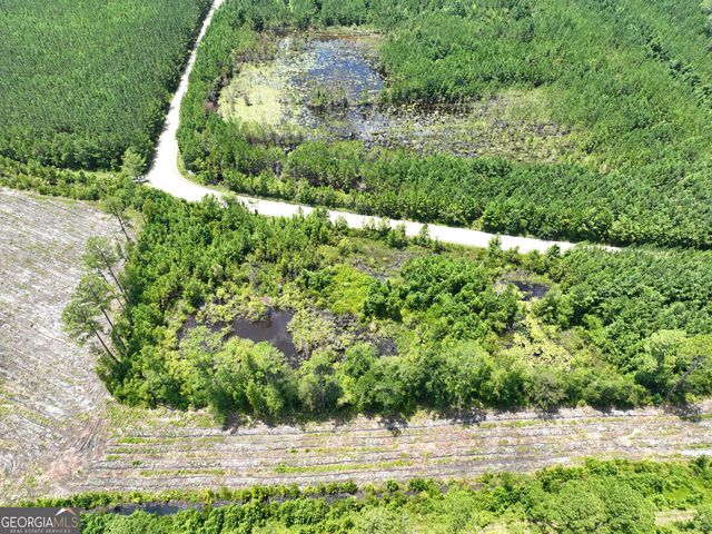 0 Chaney Road, White Oak, GA 31568