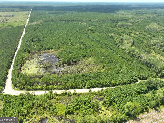 0 Chaney Road, White Oak, GA 31568