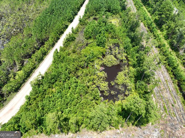 0 Chaney Road, White Oak, GA 31568