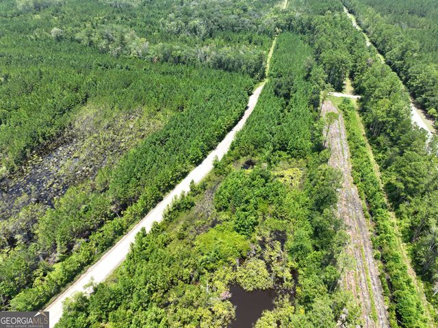 0 Chaney Road, White Oak, GA 31568