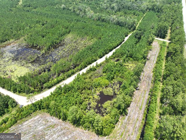 0 Chaney Road, White Oak, GA 31568