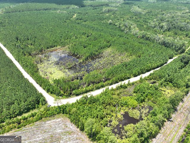 0 Chaney Road, White Oak, GA 31568