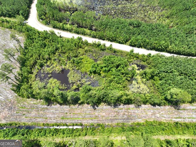 0 Chaney Road, White Oak, GA 31568