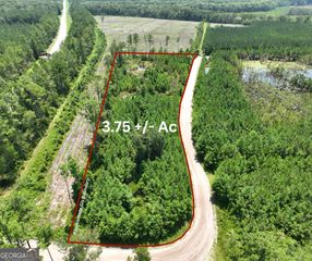 0 Chaney Road, White Oak, GA 31568