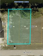 217 NE 31st ST, Cape Coral, FL 33909