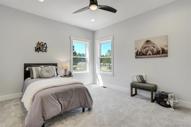 16510 Early Light Drive, Colorado Springs, CO 80908