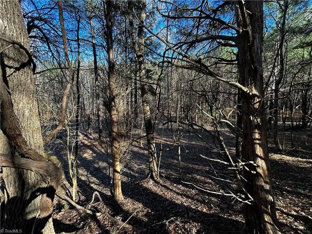 4624 Old Hopewell Church Road, Trinity, NC 27370