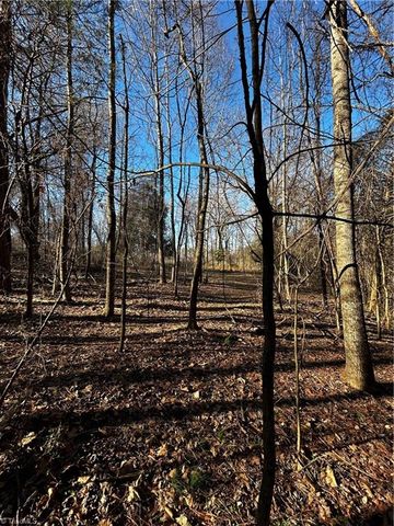 4624 Old Hopewell Church Road, Trinity, NC 27370