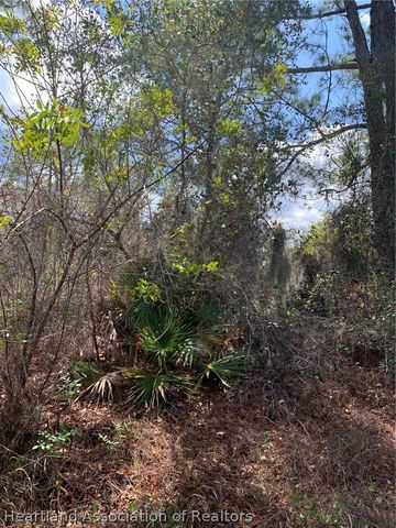 3250 W Josephson Road, Avon Park, FL 33825