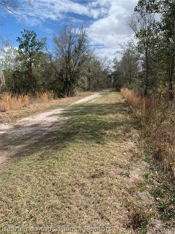 3250 W Josephson Road, Avon Park, FL 33825