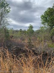 3250 W Josephson Road, Avon Park, FL 33825