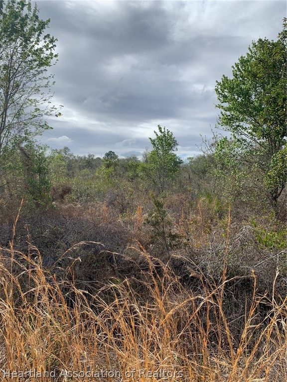 3250 W Josephson Road, Avon Park, FL 33825