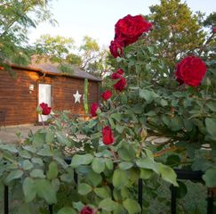 101 Hide Away Drive, Possum Kingdom Lake, TX 76475