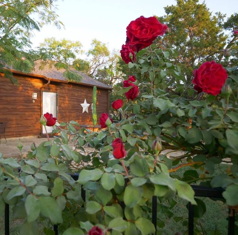101 Hide Away Drive, Possum Kingdom Lake, TX 76475