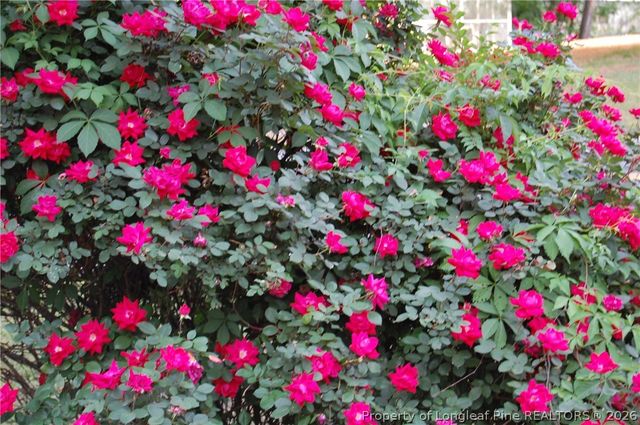 3839 Avents Ferry Road, Sanford, NC 27330