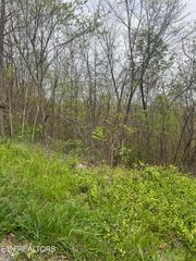 Lot 8 Hickory Pointe Lane, Maynardville, TN 37807