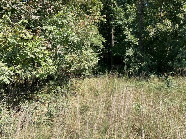 000 County Road 8530, West Plains, MO 65775