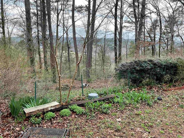 379 Conner Street, Clinton, AR 72031