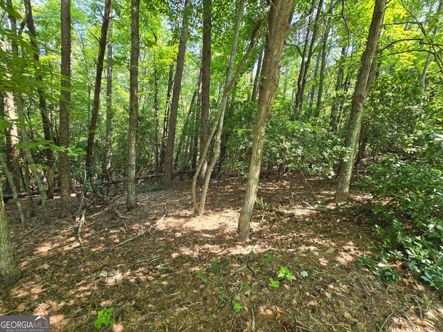 C2 Quail Run, Sautee Nacoochee, GA 30571