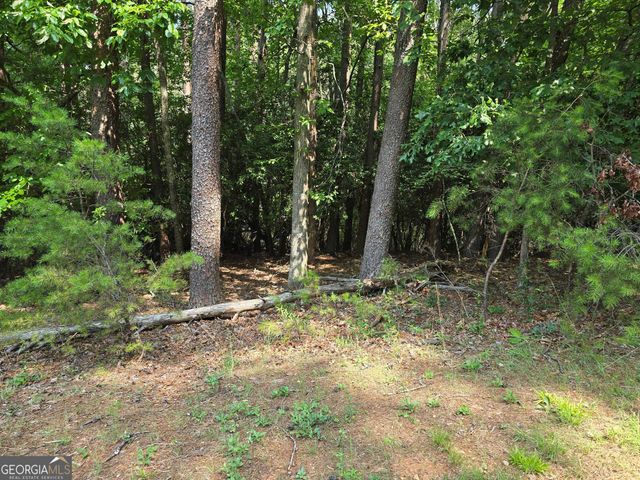 C2 Quail Run, Sautee Nacoochee, GA 30571