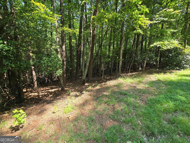 C2 Quail Run, Sautee Nacoochee, GA 30571