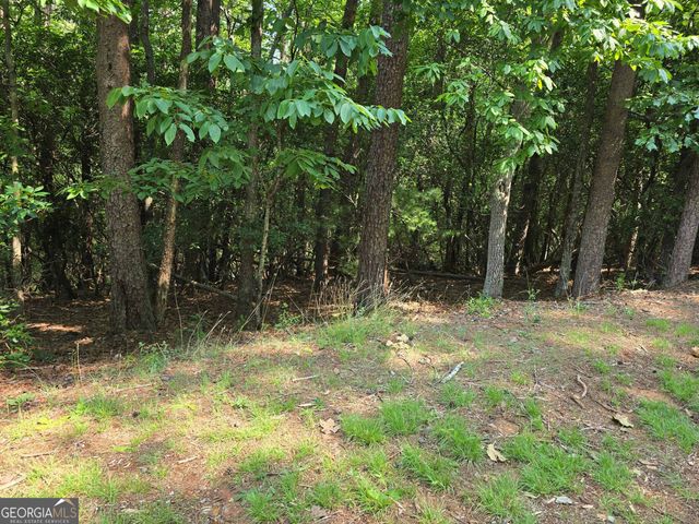 C2 Quail Run, Sautee Nacoochee, GA 30571