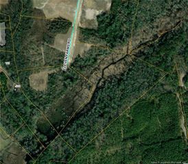 Lot 49 Eleven Farms Rd, Salemburg, NC 28385