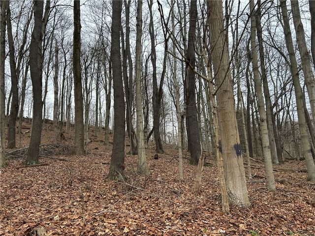 Bieda Lot Davis School Road, South Strabane, PA 15301