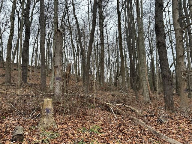 Bieda Lot Davis School Road, South Strabane, PA 15301