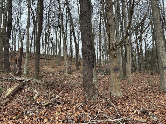 Bieda Lot Davis School Road, South Strabane, PA 15301