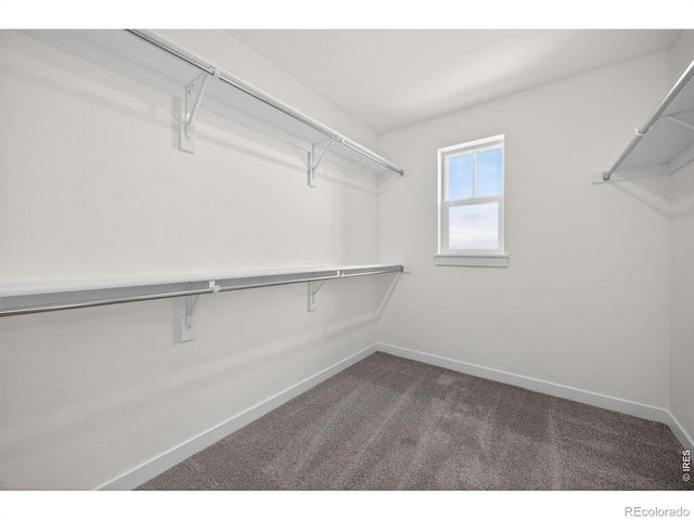 1596 Peach Avenue, Erie, CO 80516