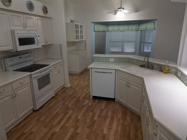 12125 KNOTTY PINE LOOP, San Antonio, FL 33576