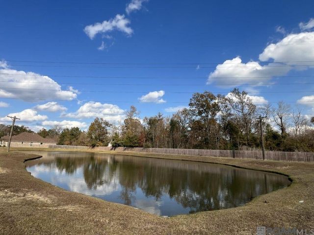 14401 Sterling Oaks Dr, Gonzales, LA 70737