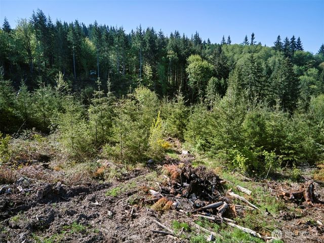 2 Bootjack Lane, Kelso, WA 98626