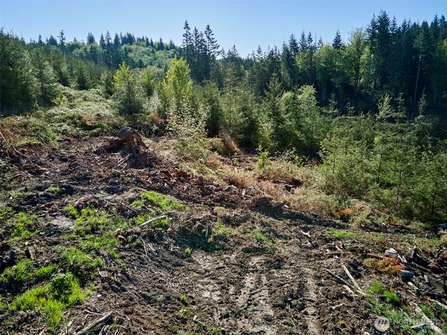 2 Bootjack Lane, Kelso, WA 98626