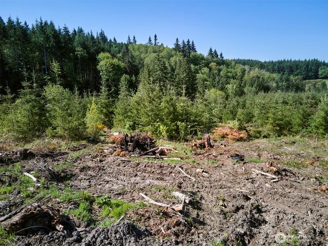 2 Bootjack Lane, Kelso, WA 98626