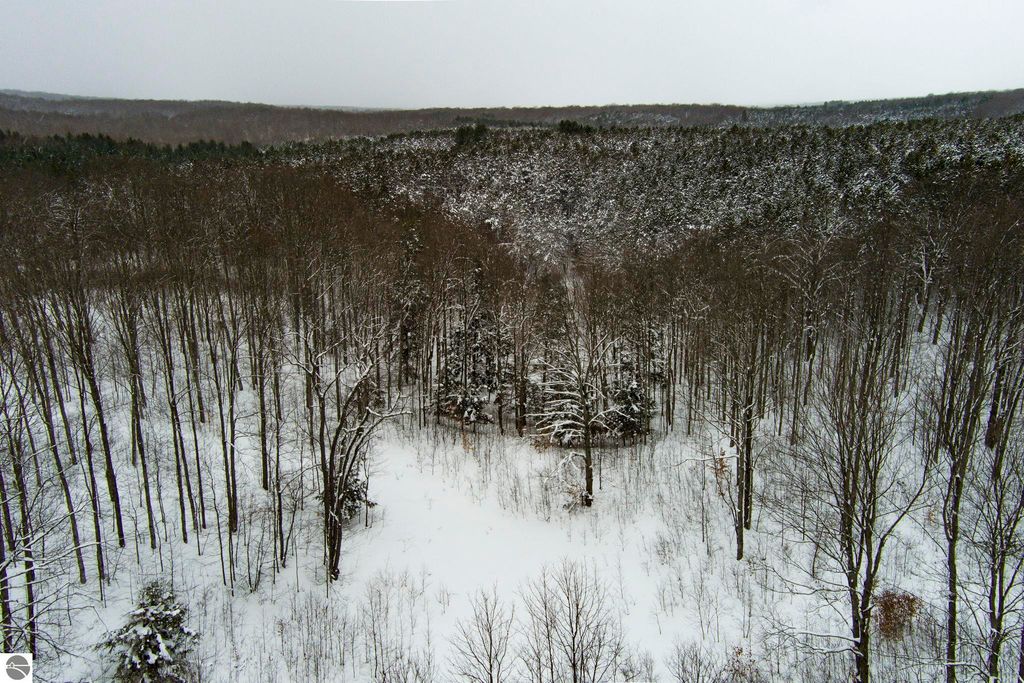 Image 67 of property listing at 16355 Hunt Club Road, Lake Ann, MI 49650