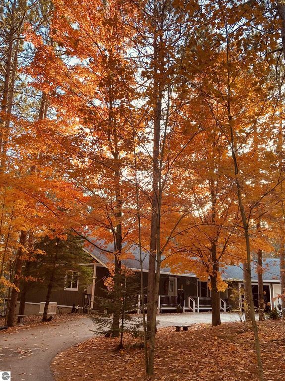 Image 72 of property listing at 16355 Hunt Club Road, Lake Ann, MI 49650