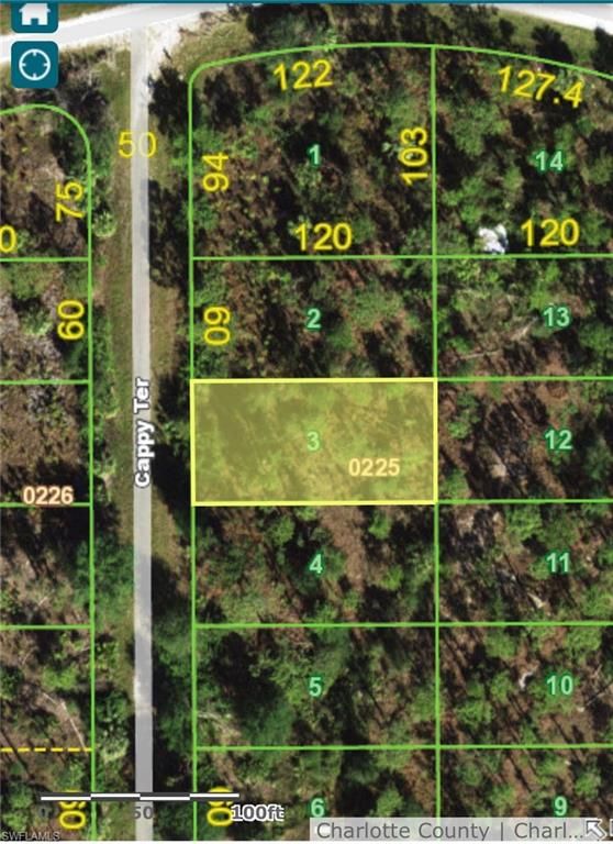13358 Cappy TER, PUNTA GORDA, FL 33955 — exterior