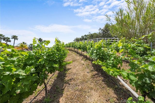 42371 Via De Los Fideos, Temecula, CA 92590