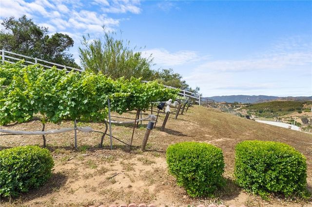 42371 Via De Los Fideos, Temecula, CA 92590