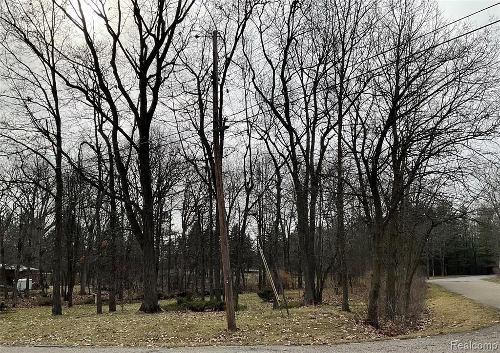 0 Green Tree Drive, Grand Blanc, MI 48439